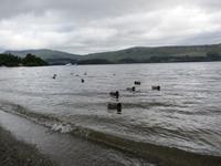 Loch Lomond &ndash; &copy; Constanze Hölig (Eberhardt TRAVEL)
