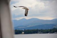 Lake Windermere &ndash; &copy; Gina Egenolf (Eberhardt TRAVEL)