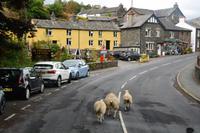 Auch unterwegs nach Gretna Green? &ndash; &copy; Gina Egenolf (Eberhardt TRAVEL)