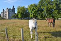 am Nethybridge Hotel &ndash; &copy; Gina Egenolf (Eberhardt TRAVEL)