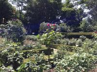 im Rosengarten &ndash; &copy; Uta Schöne (Eberhardt TRAVEL)