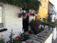 in Clovelly &ndash; &copy; Uta Schöne (Eberhardt TRAVEL)