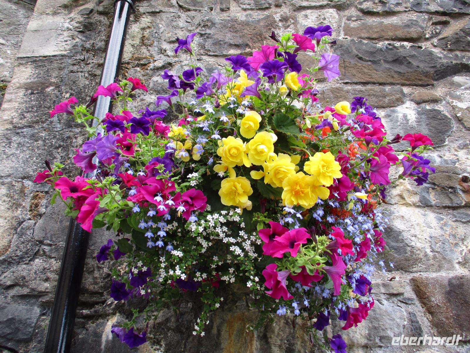 Stirling Castle &ndash; &copy; Constanze Hölig (Eberhardt TRAVEL)