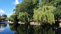 Cambridge 20180731_104337 &ndash; &copy; Marlies Thrum (Eberhardt TRAVEL)