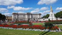 Buckingham Palace 20180801 112636 &ndash; &copy; Marlies Thrum (Eberhardt TRAVEL)