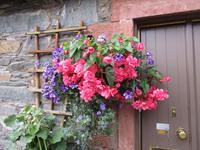 Luss &ndash; &copy; Constanze Hölig (Eberhardt TRAVEL)