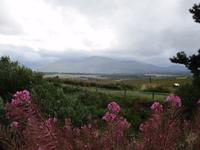 Spean Bridge &ndash; &copy; Constanze Hölig (Eberhardt TRAVEL)