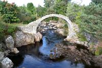 1679 Carrbridge &ndash; &copy; Konrad Füssel (Eberhardt TRAVEL)