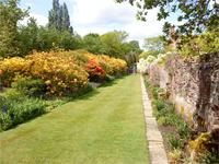 Sissinghurst Blumenpracht