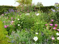 Arundel Castle und Garden &ndash; &copy; Konrad Füssel (Eberhardt TRAVEL)