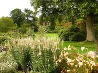 Killerton House & Garden