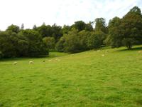 Killerton House & Garden &ndash; &copy; Konrad Füssel (Eberhardt TRAVEL)