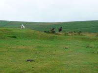 Dartmoor &ndash; &copy; Konrad Füssel (Eberhardt TRAVEL)