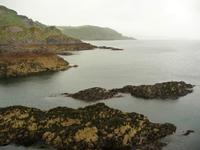 Mevagissey &ndash; &copy; Konrad Füssel (Eberhardt TRAVEL)
