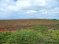 Lands End &ndash; &copy; Konrad Füssel (Eberhardt TRAVEL)