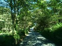Trewainden Garden &ndash; &copy; Konrad Füssel (Eberhardt TRAVEL)