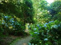 Trewainden Garden &ndash; &copy; Konrad Füssel (Eberhardt TRAVEL)