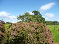 Trewainden Garden &ndash; &copy; Konrad Füssel (Eberhardt TRAVEL)