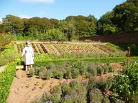 Trewainden Garden &ndash; &copy; Konrad Füssel (Eberhardt TRAVEL)