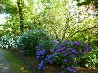 Trewainden Garden &ndash; &copy; Konrad Füssel (Eberhardt TRAVEL)