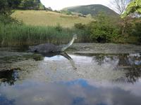 Nessie &ndash; &copy; Constanze Hölig (Eberhardt TRAVEL)