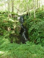 am West Higland Way &ndash; &copy; Peter Patzelt (Eberhardt TRAVEL)