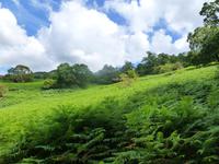 am West Higland Way &ndash; &copy; Peter Patzelt (Eberhardt TRAVEL)