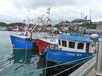 Orban - Hafen &ndash; &copy; Peter Patzelt (Eberhardt TRAVEL)