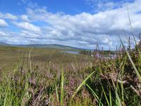 Rannoch Moor &ndash; &copy; Peter Patzelt (Eberhardt TRAVEL)