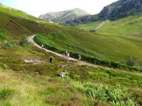 Glen Coe - Wanderung &ndash; &copy; Peter Patzelt (Eberhardt TRAVEL)