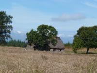 Culloden Moor &ndash; &copy; Peter Patzelt (Eberhardt TRAVEL)