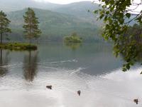 Rothiemurus Forest - Loch An Eilein &ndash; &copy; Peter Patzelt (Eberhardt TRAVEL)