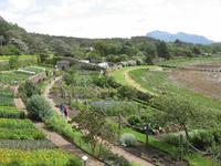 Iverewe Garden &ndash; &copy; Ralf Kuchenbecker (Eberhardt TRAVEL)