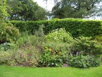 Iverewe Garden