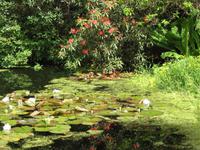 Iverewe Garden &ndash; &copy; Ralf Kuchenbecker (Eberhardt TRAVEL)