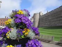 Windsor Castle &ndash; &copy; Constanze Hölig (Eberhardt TRAVEL)