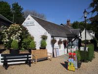 Luss &ndash; &copy; Constanze Hölig (Eberhardt TRAVEL)
