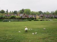 Hever Castle &ndash; &copy; Constanze Hölig (Eberhardt TRAVEL)