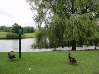 Leeds Castle &ndash; &copy; Constanze Hölig (Eberhardt TRAVEL)