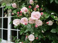 Jane Austen House &ndash; &copy; Constanze Hölig (Eberhardt TRAVEL)