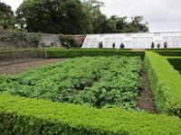 Lost Gardens of Heligan &ndash; &copy; Constanze Hölig (Eberhardt TRAVEL)