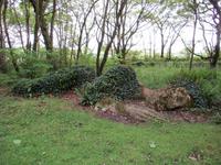 Lost Gardens of Heligan &ndash; &copy; Constanze Hölig (Eberhardt TRAVEL)