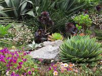 Trebah Garden &ndash; &copy; Constanze Hölig (Eberhardt TRAVEL)