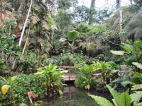 Eden Project &ndash; &copy; Constanze Hölig (Eberhardt TRAVEL)
