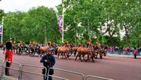 067 Oueen Elisabeth II. - Trooping the Colour (zum 93 Geb.) &ndash; &copy; Konrad Füssel (Eberhardt TRAVEL)