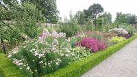 Ummauerter Garten im Phönix-Park Dublin &ndash; &copy; Stefan Jahnke (Eberhardt TRAVEL)