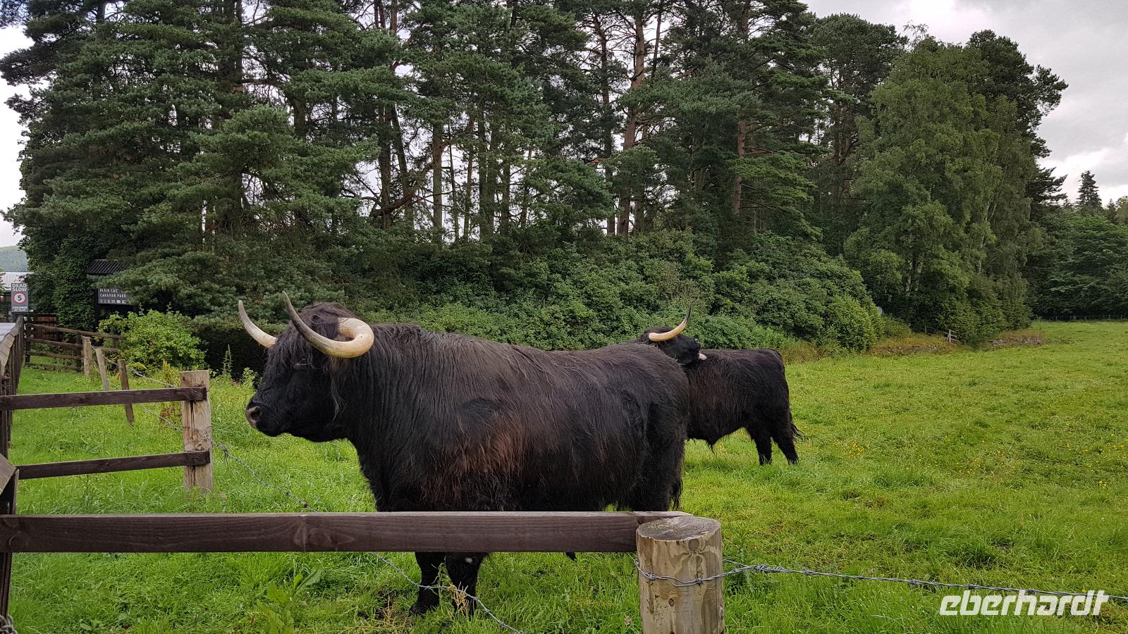 Blair Atholl &ndash; &copy; Marlies Thrum (Eberhardt TRAVEL)