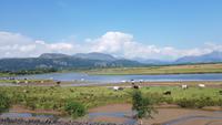 Porthmadog-Blaenau Ffestiniog &ndash; &copy; Marlies Thrum (Eberhardt TRAVEL)