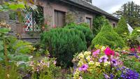 Loch Lomond &ndash; &copy; Marlies Thrum (Eberhardt TRAVEL)