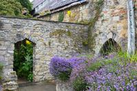 Lavendel &ndash; &copy; Gina Egenolf (Eberhardt TRAVEL)